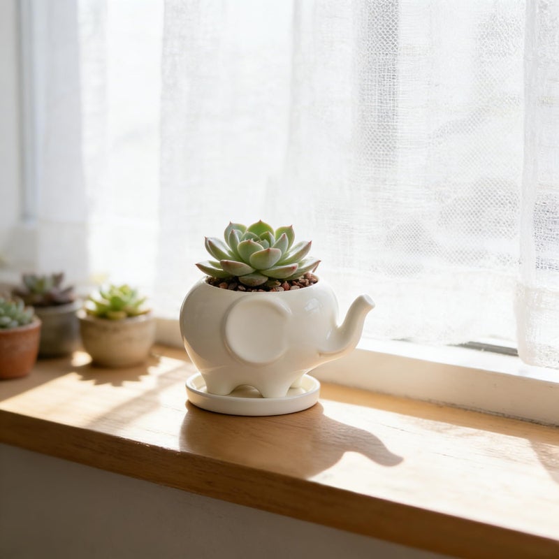 GeLive White Elephant Succulent Planter Ceramic Plant Pot Window Box with Saucer Animal Indoor Tabletop Decor Fun Gift 5 Inch (Mom Elephant) - Image 3